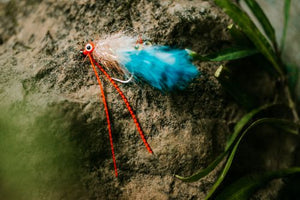 Image Title Bug's Redfish Tickler