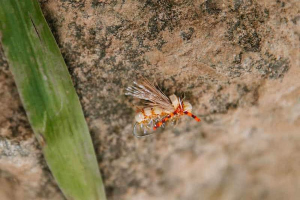 Stone Hopper – Southeastern Flyworks